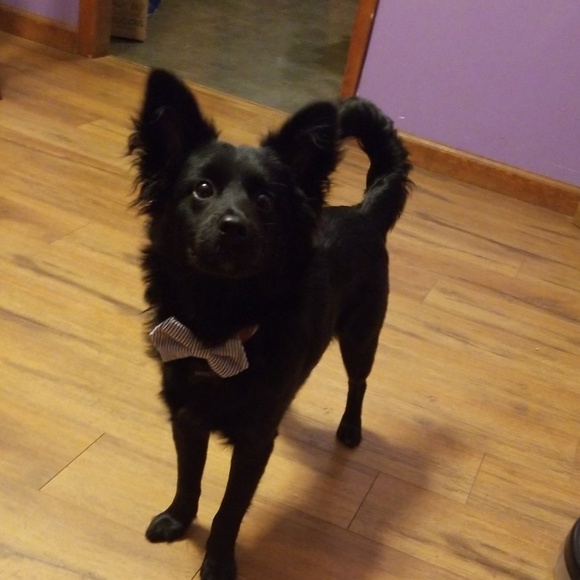 Meet your Posher, James - Picture 1 of 1